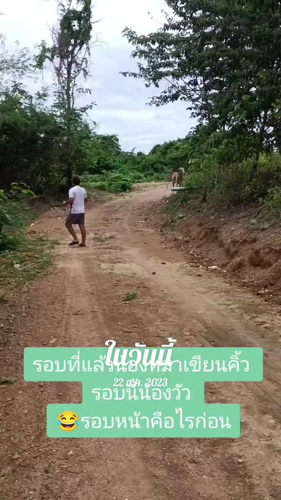 @SabuyNN
