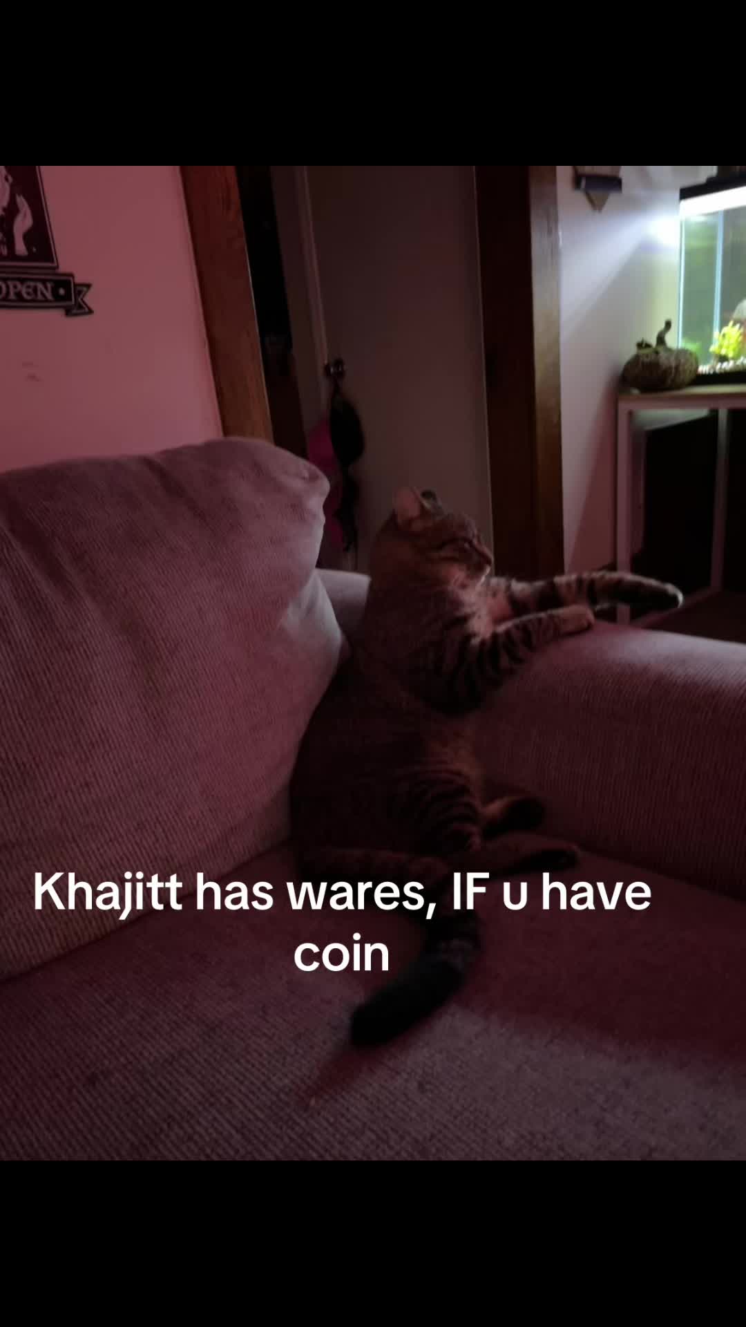 @kourtneyfrenz