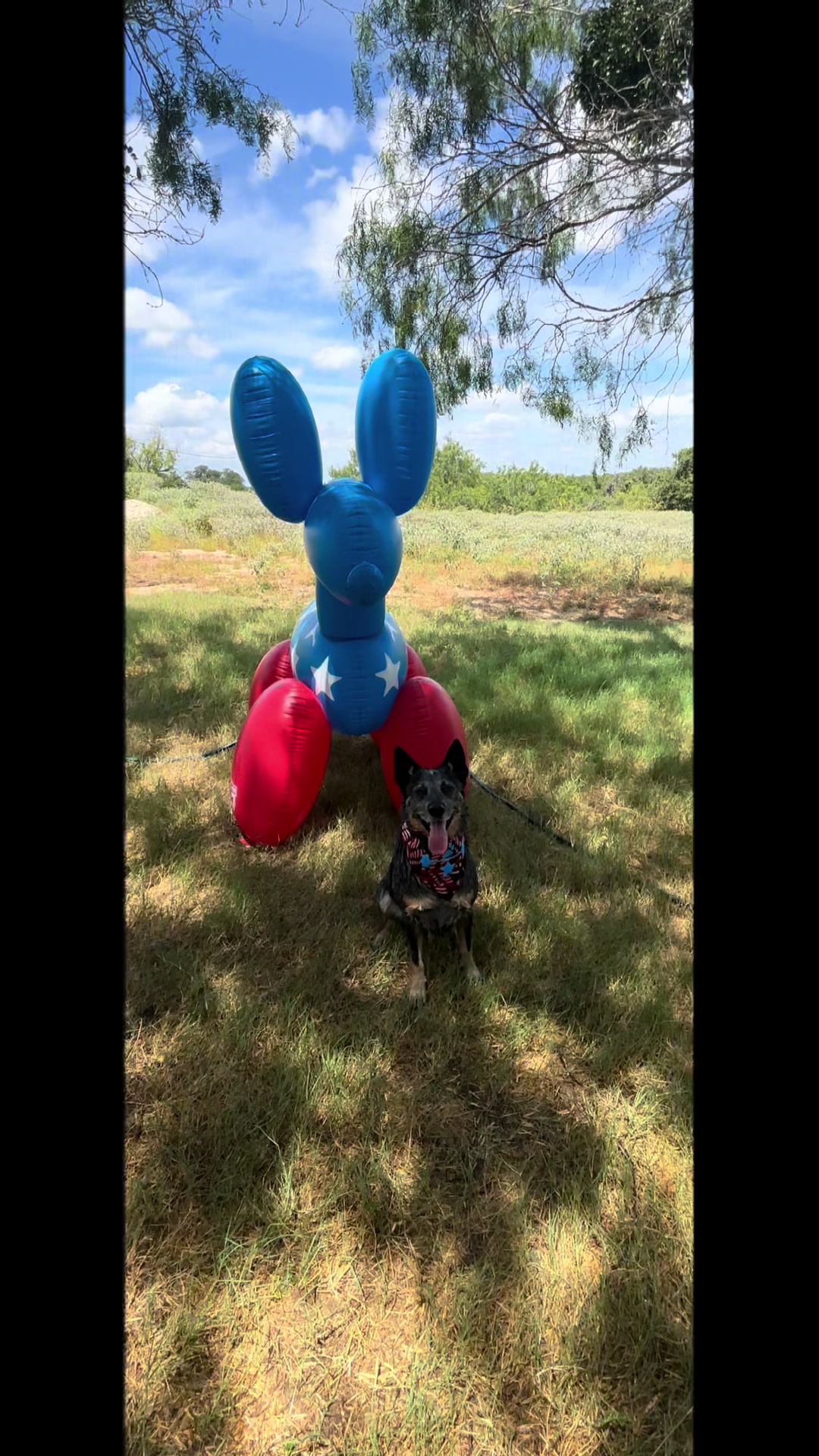 @JusticeRanch