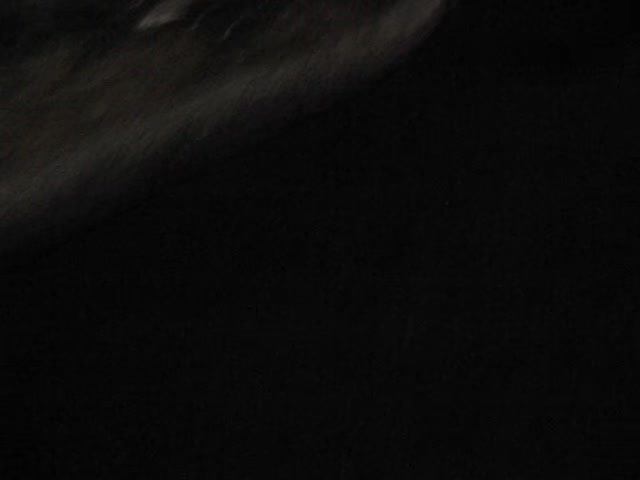 @d1gi