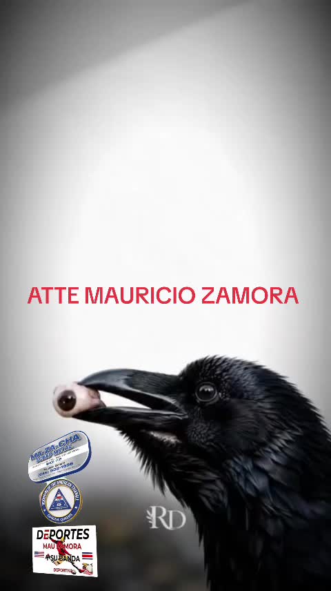 @MAU ZAMORA