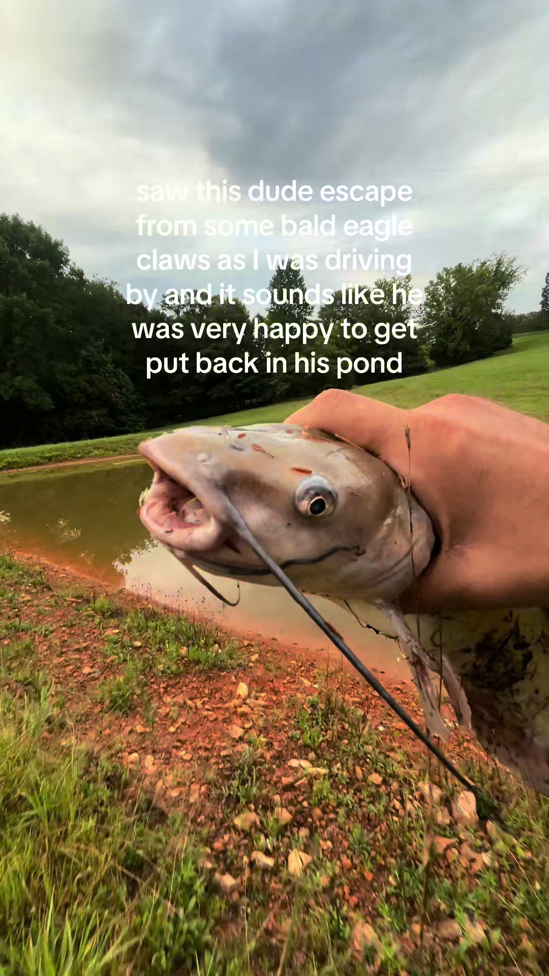 @okcrawdaddy