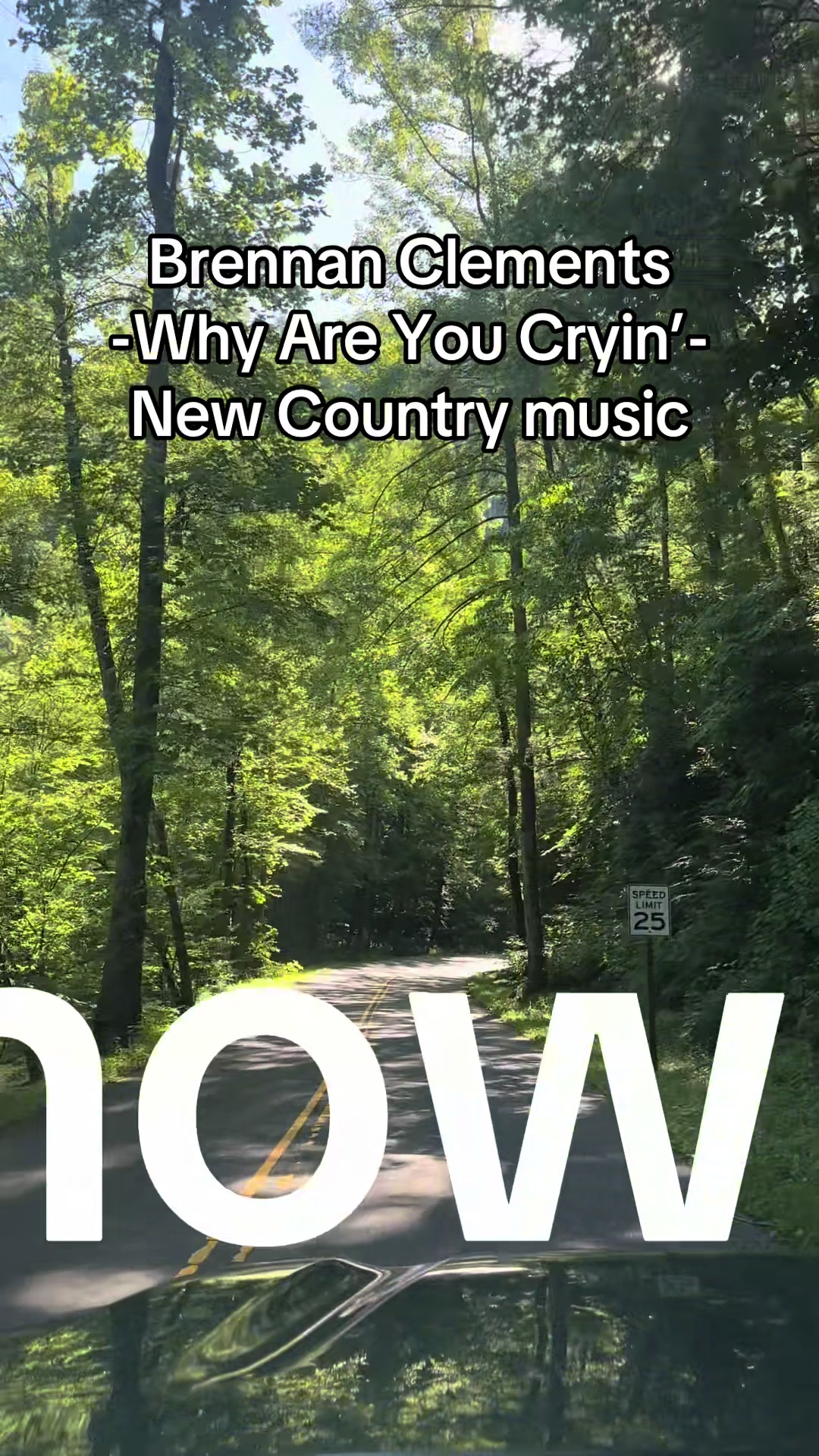 @naturesforestcore
