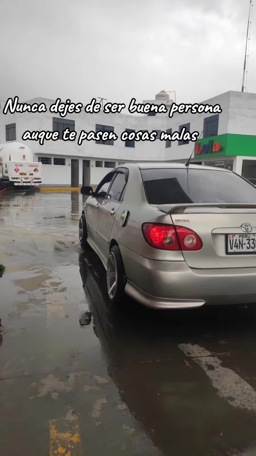 @💎CACHORRO