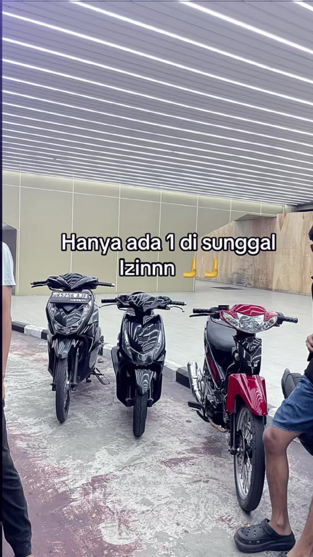 @Lynixx_🦅