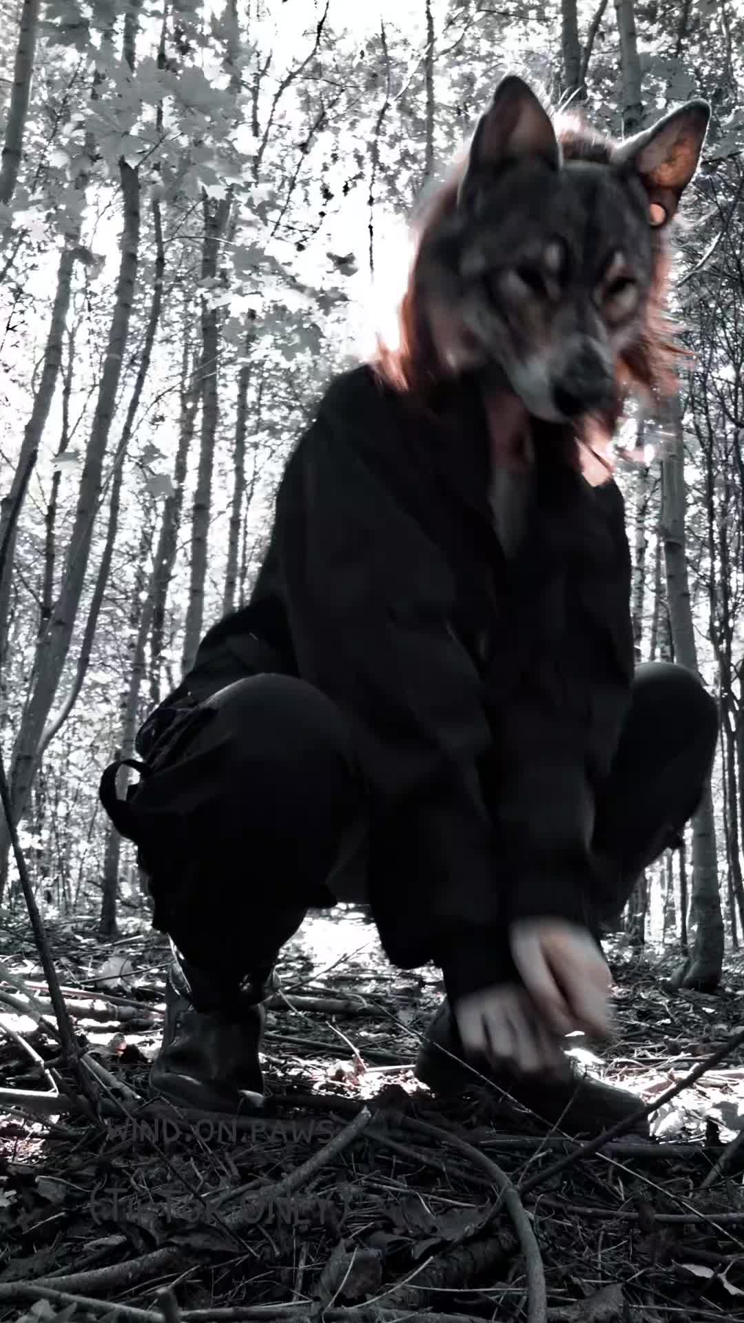@🍃°• sᴛᴜᴘɪᴅ ʜʏᴇɴᴀ •°🍃