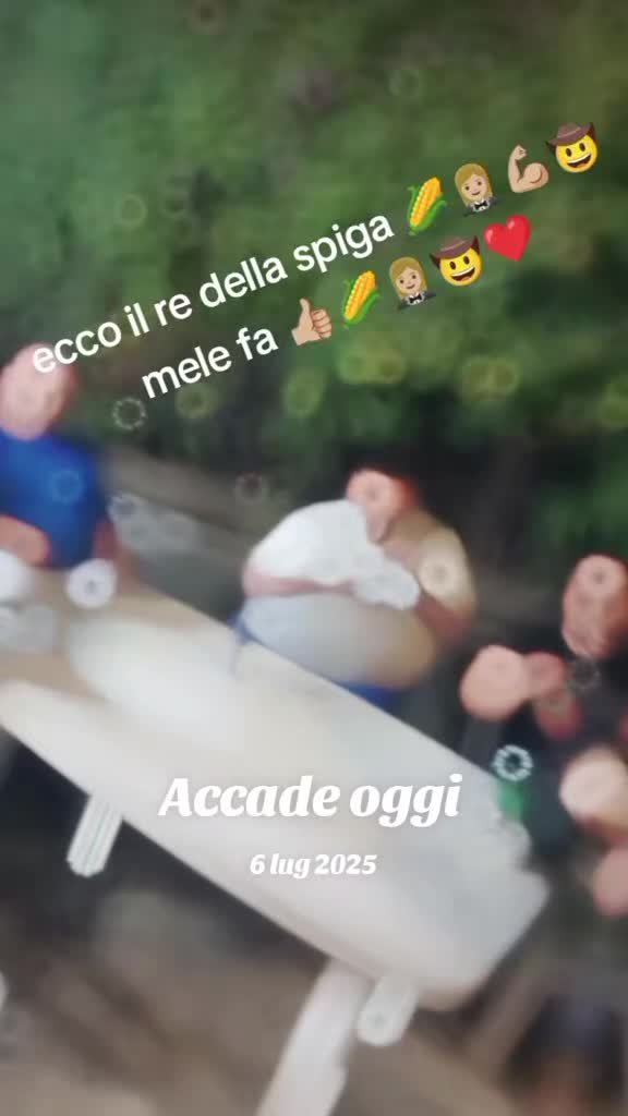 @mister 21 il re della spiga