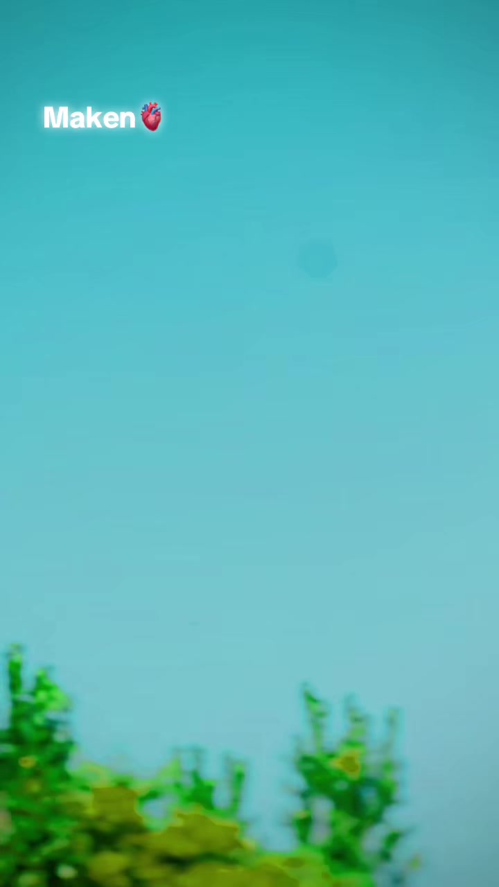 @𒆜 بادشاہ ᴀʟɪ 𒆜