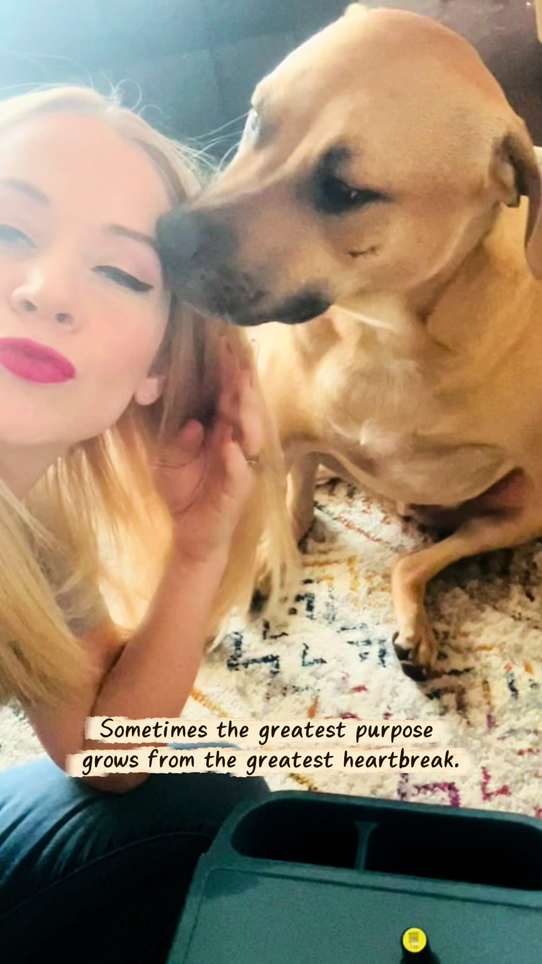@shininglightanimalrescue