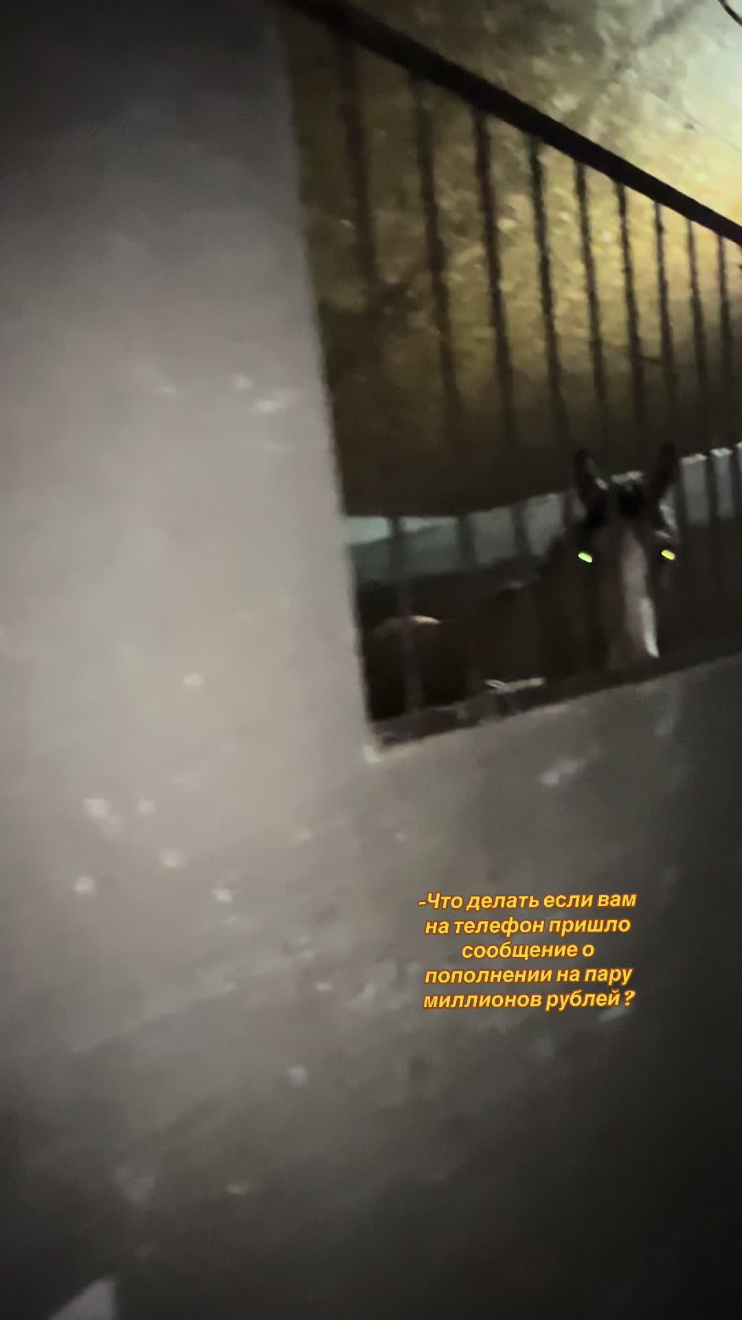@Камила