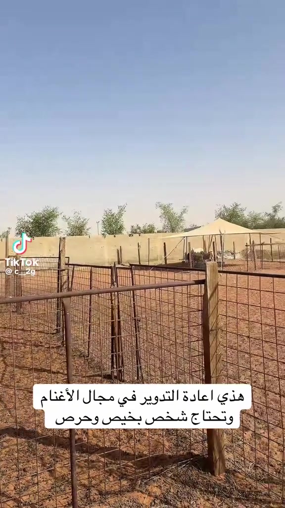 @mohamed_ksa0