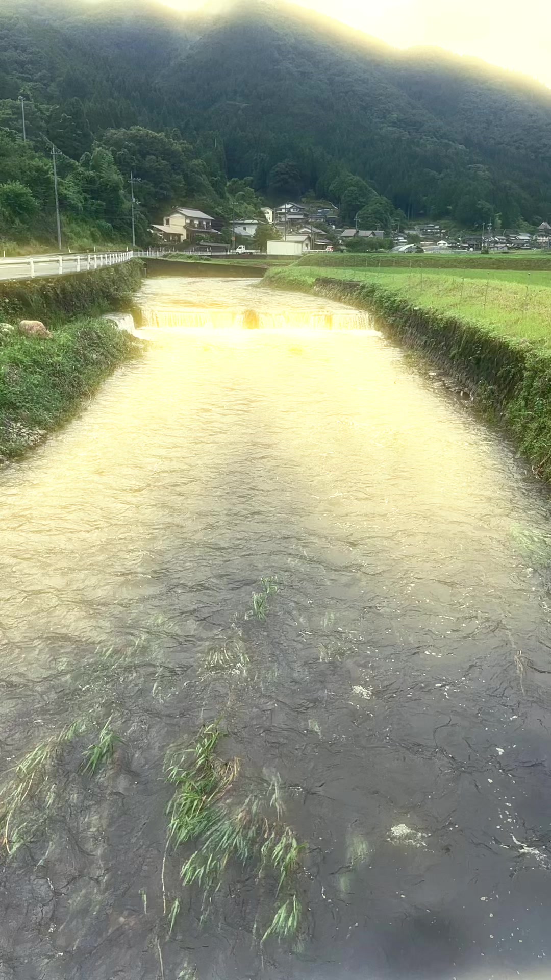 @福知山の田舎暮らしをしている元大阪人のえみ