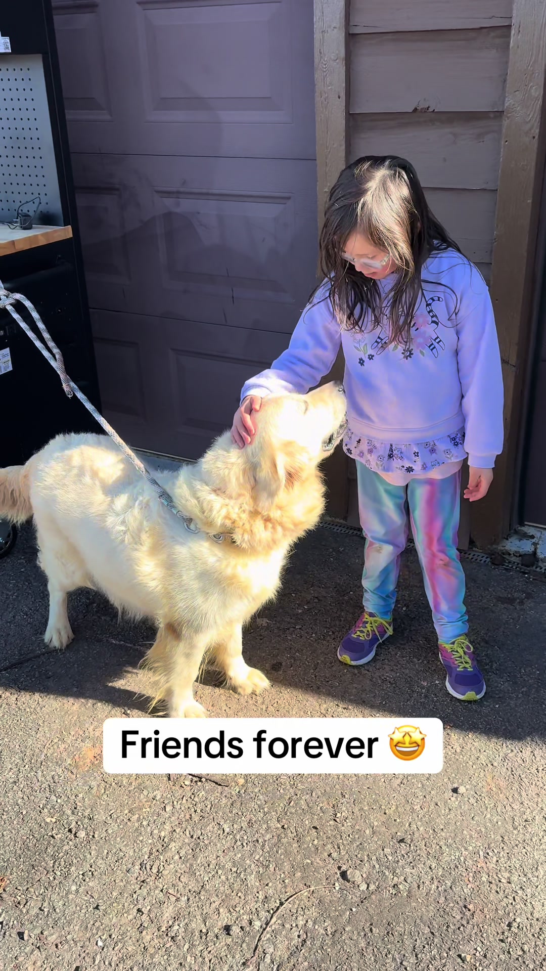 @Furry Tailed Friends NC