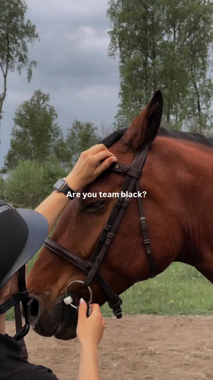 @ThunderGallops