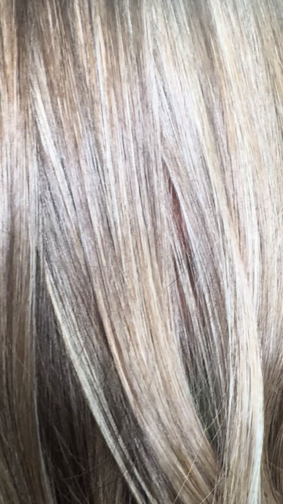@WILD ROOTS HAIR CO.