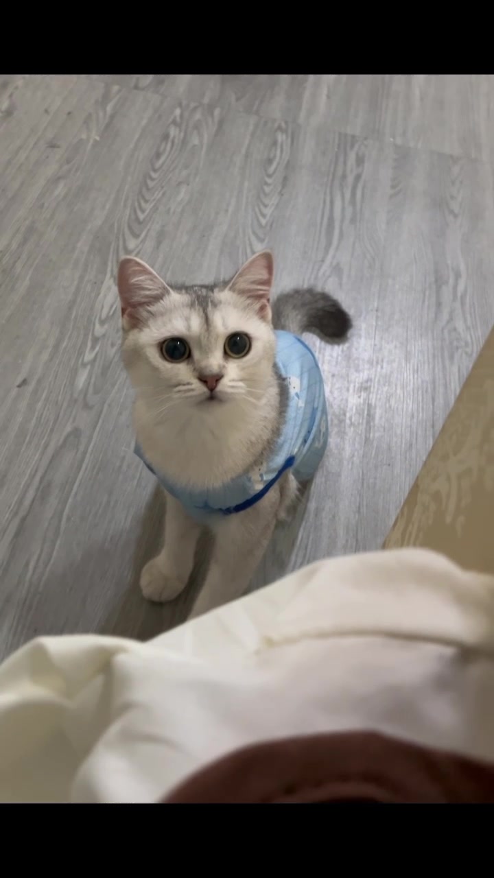 @小荻