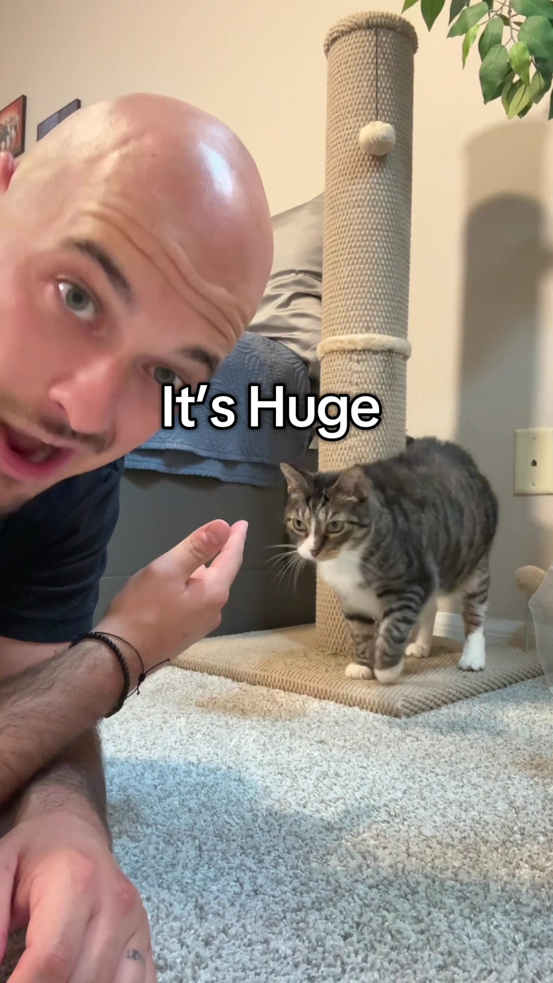 @Christopher_Finds