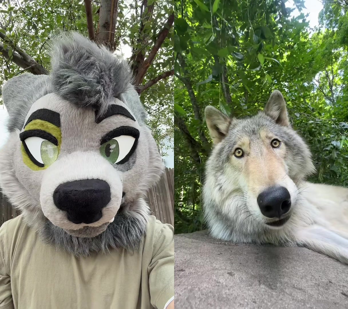 @Mossisdead