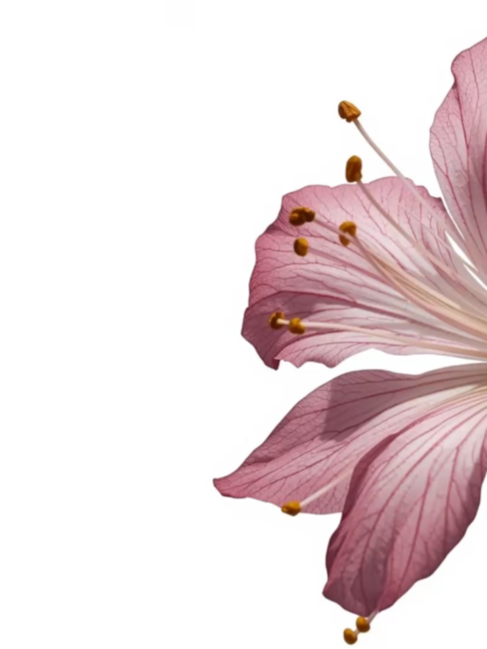 @𝐲𝐰𝐞𝐮