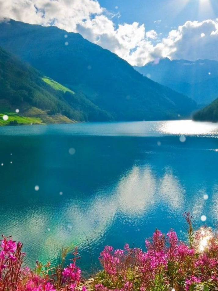@Даэна Фарн