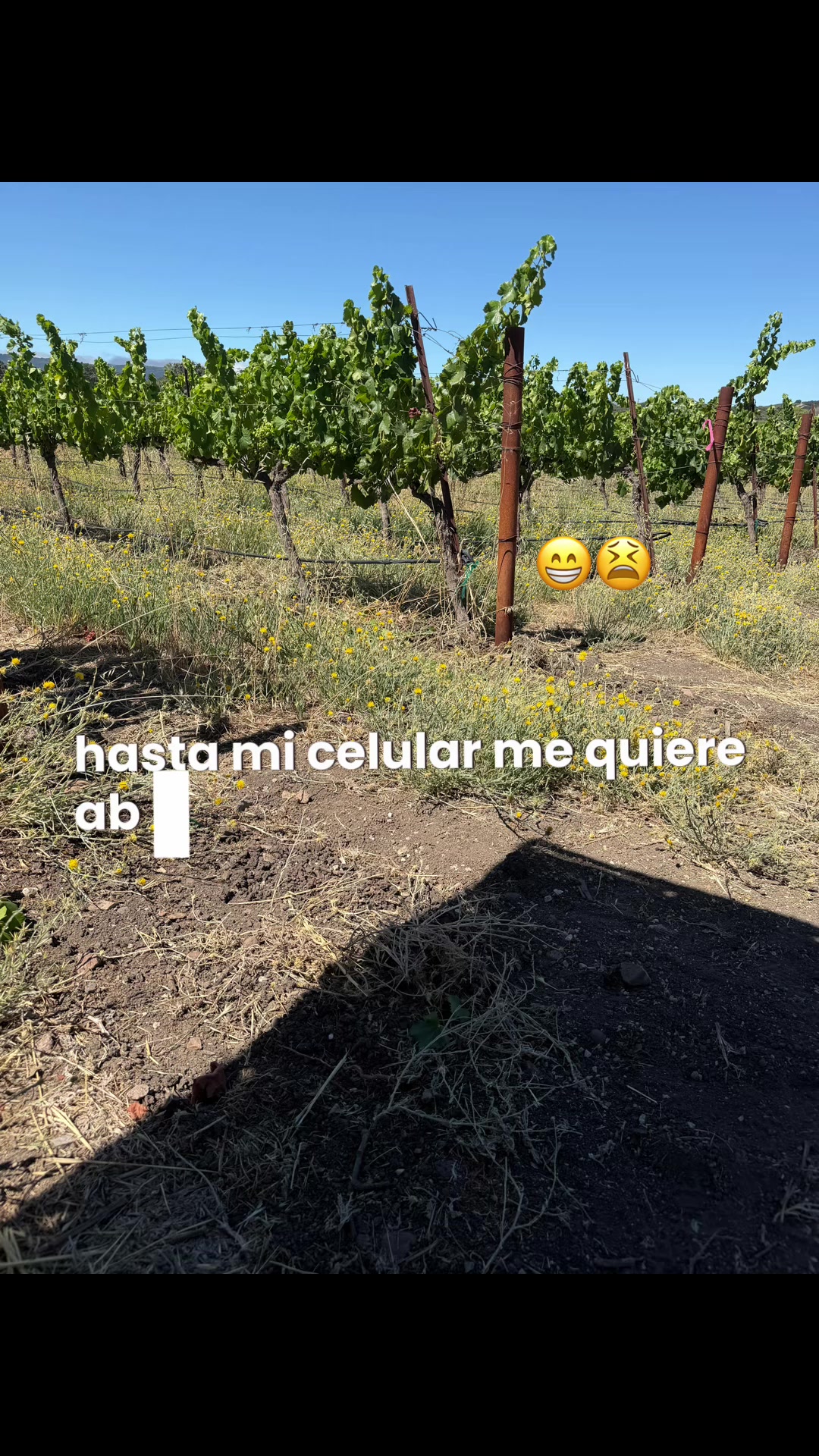 @Sandra Santiago