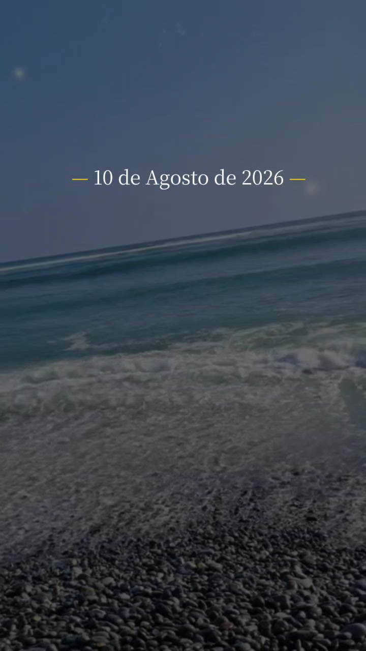 @ANGEL 🐼