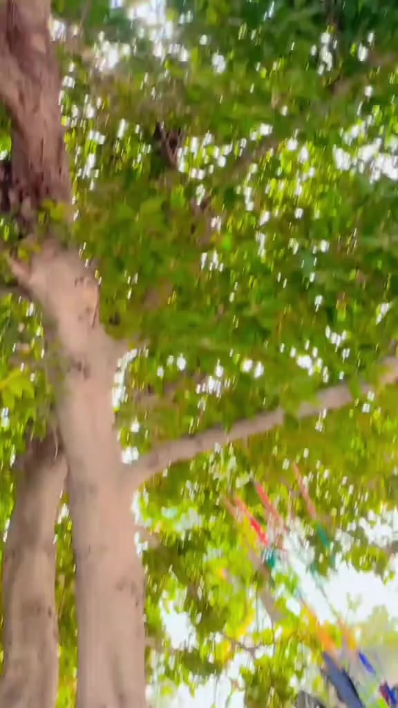 @AسAD جoyia 007