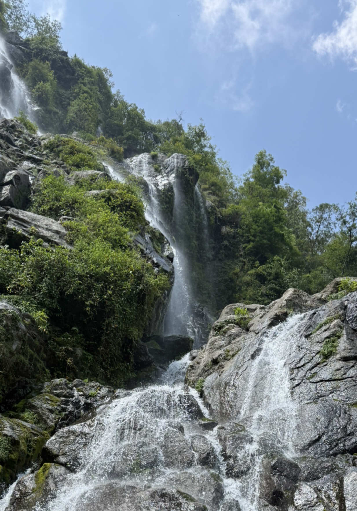 @ऋतु बोहरा