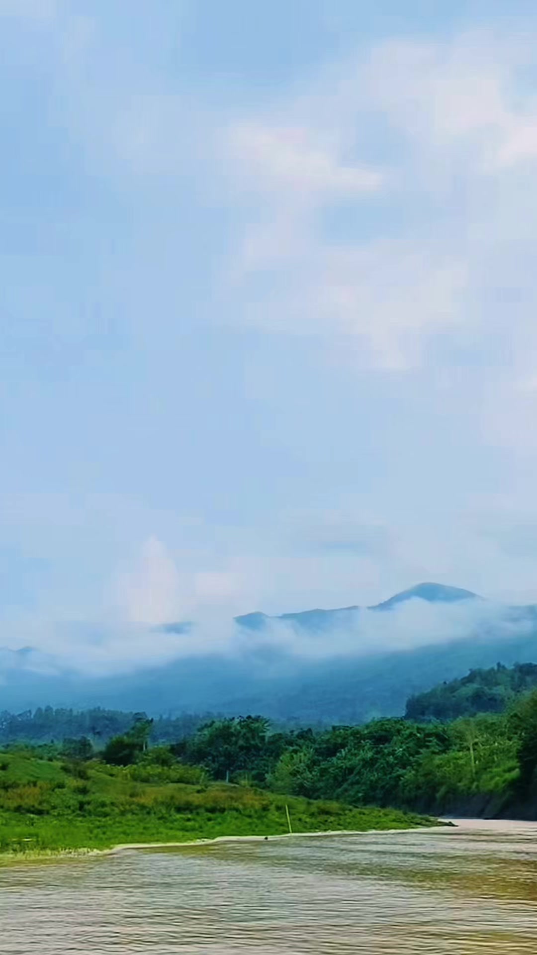 @راشد