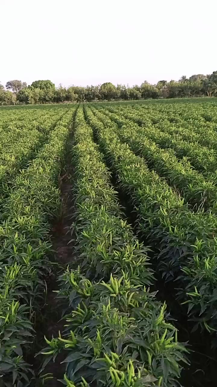 @جام نیاز