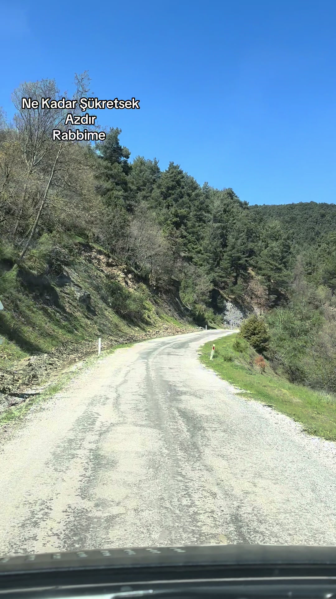 @Muhammet Akgün
