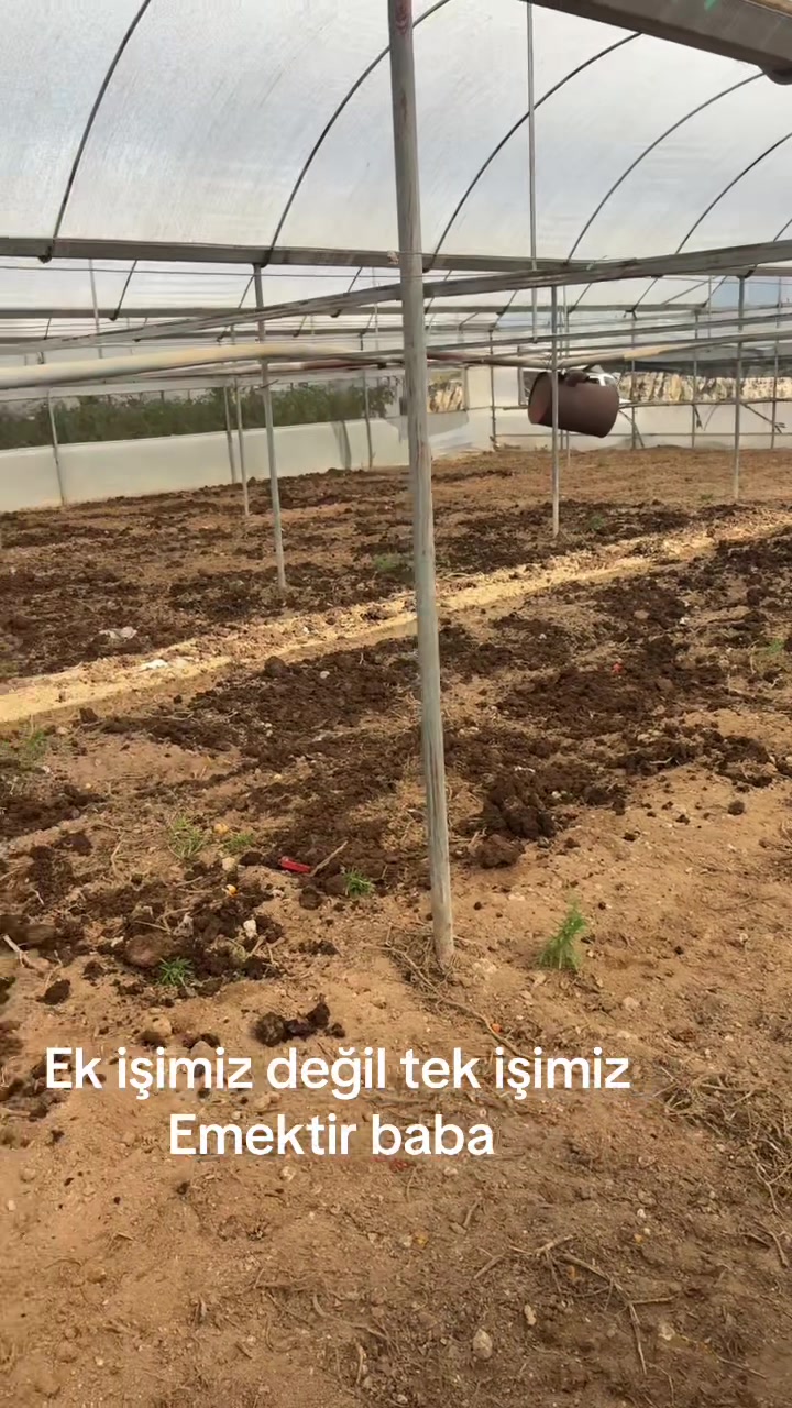 @İsmail can b&uuml;y&uuml;k