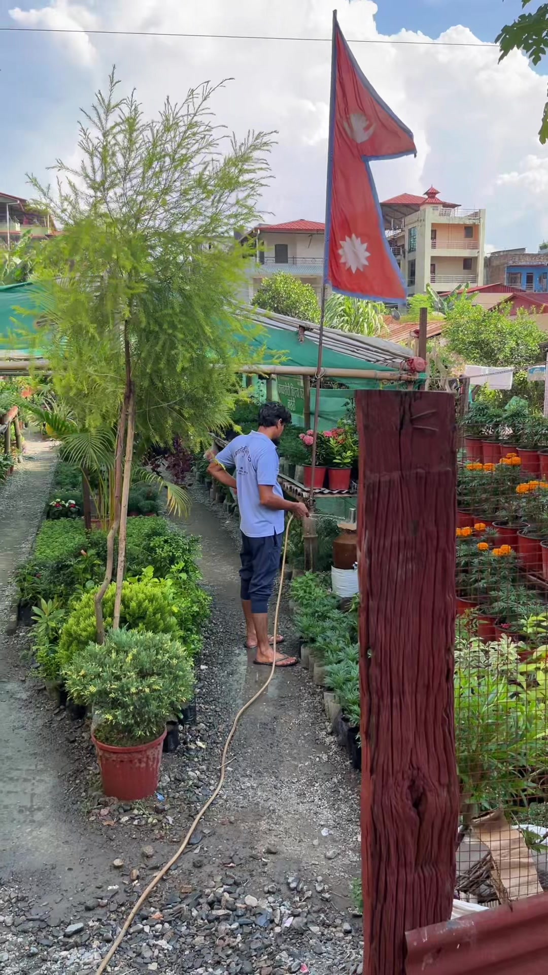 @kamalashan
