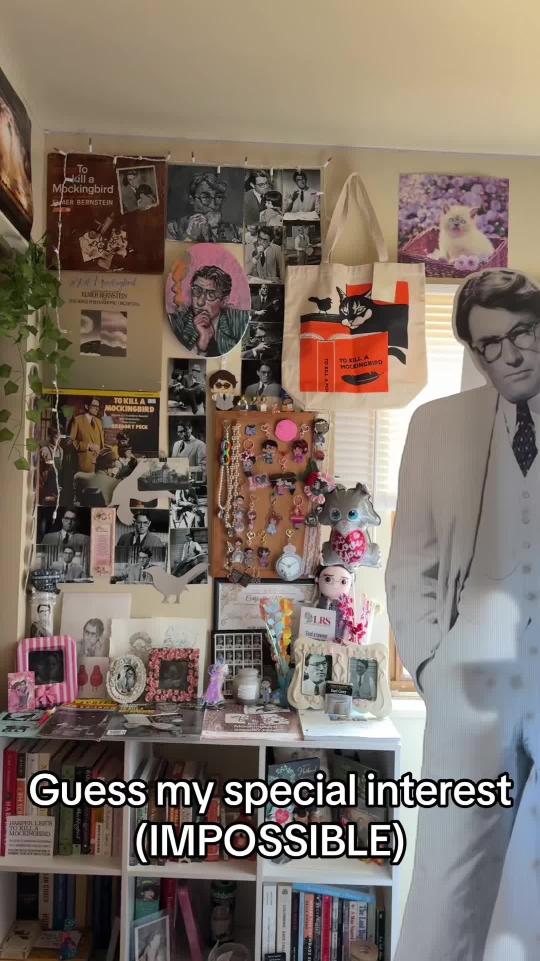 @₊✩‧₊˚Atticus Finch’s Wife˚₊✩‧₊