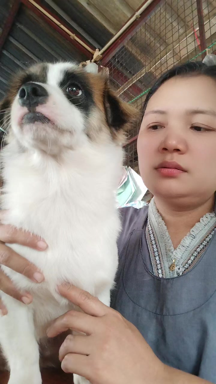 @Min Zaw9606