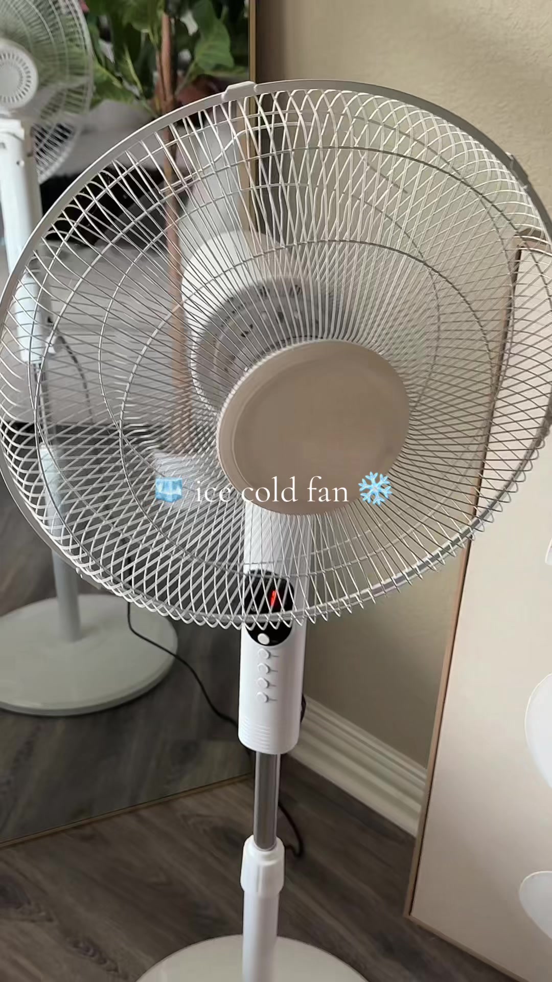@๐๐ถ๐น๐๐๐พ๐๐ เพเฝฒ