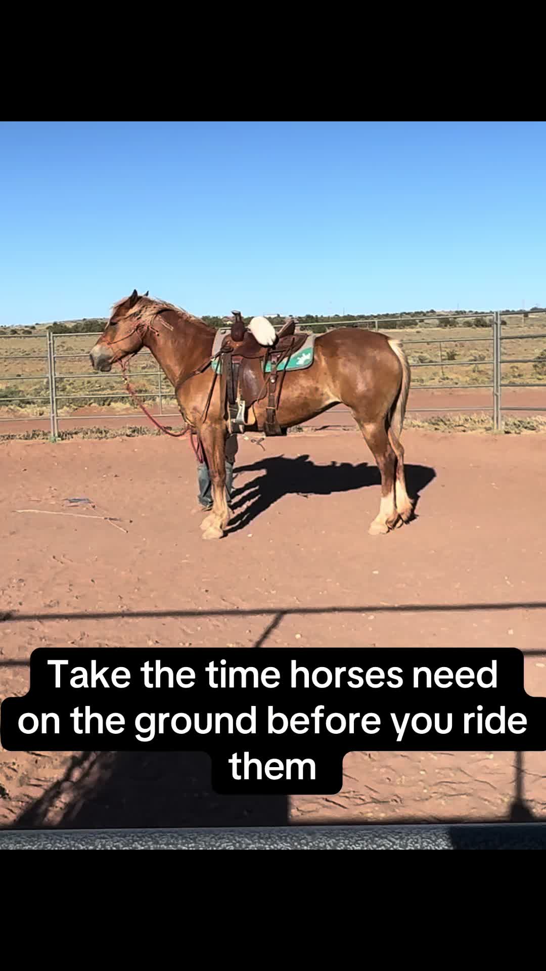 @CanyonStateHorsemanship