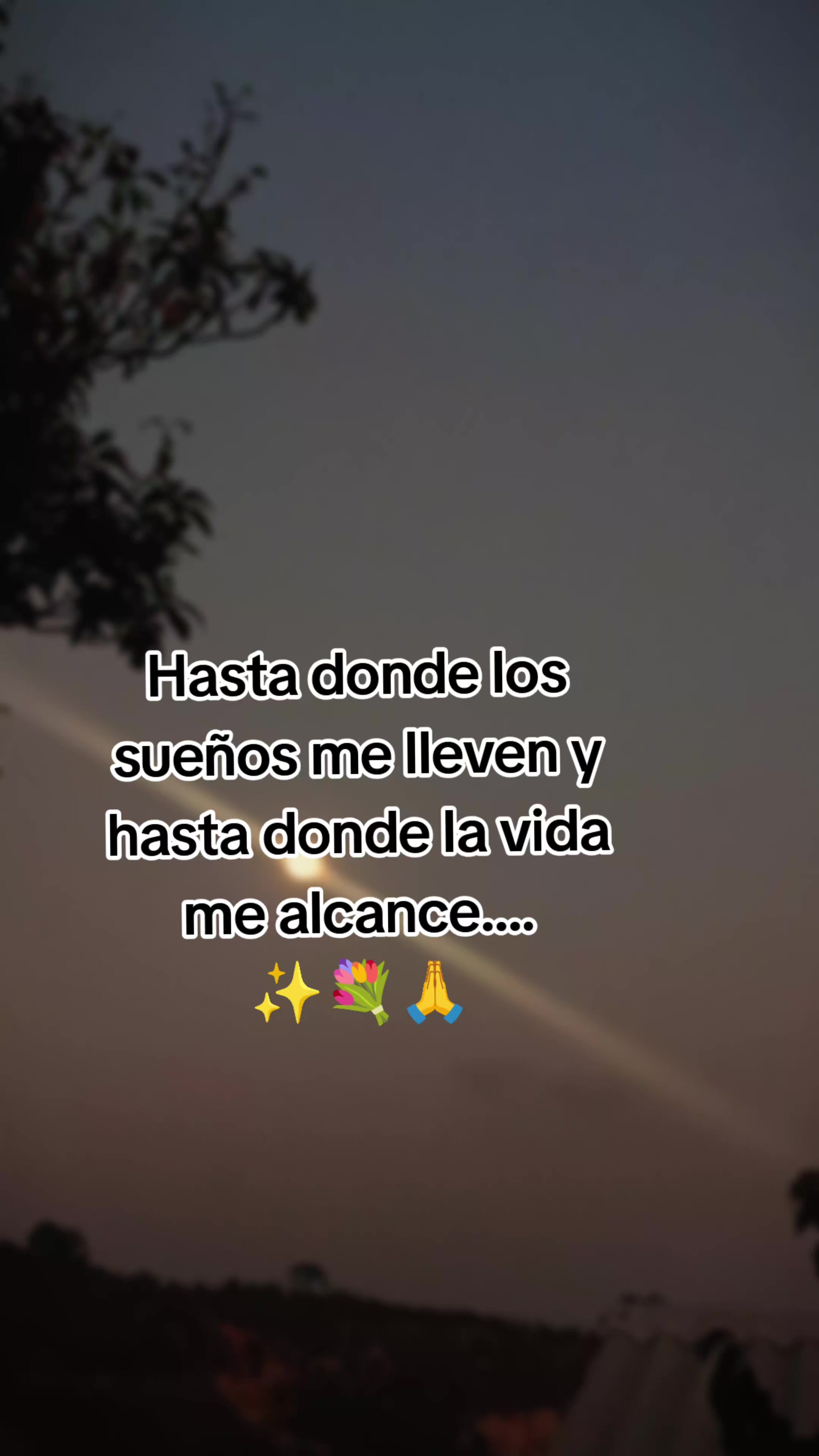 @✨🍁!&sect;∆M∆R 🍁✨🏀💐