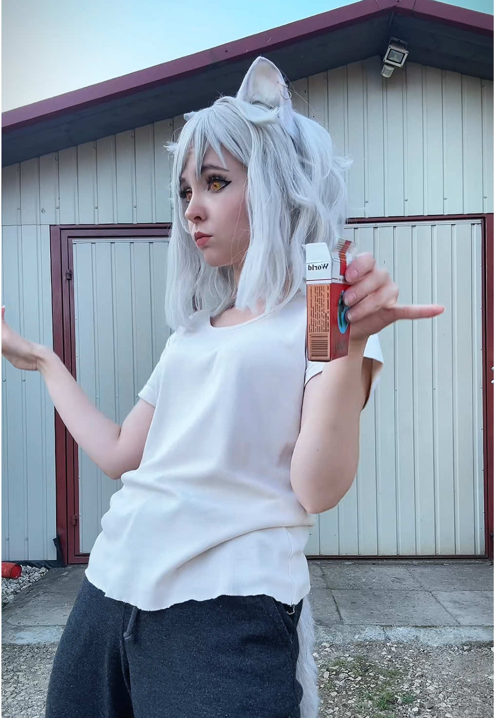@niaruko_chan