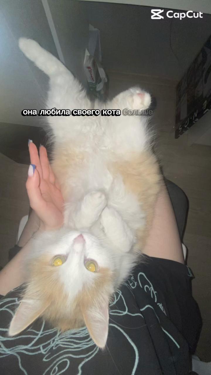 @usik_22
