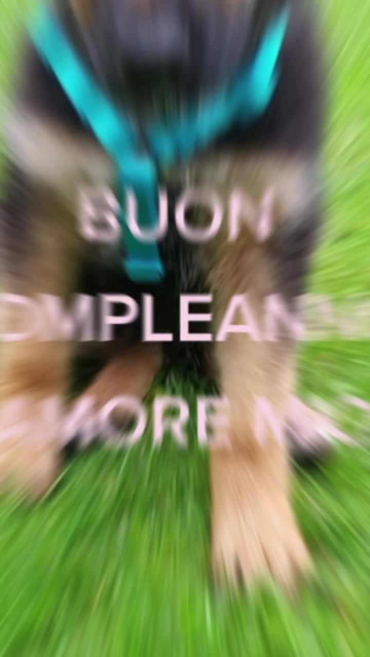 @SERGIO