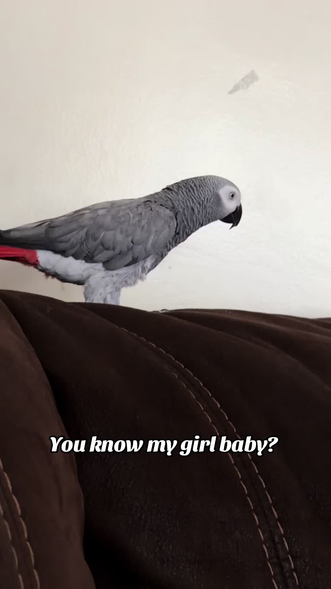 @Tina 🇦🇲