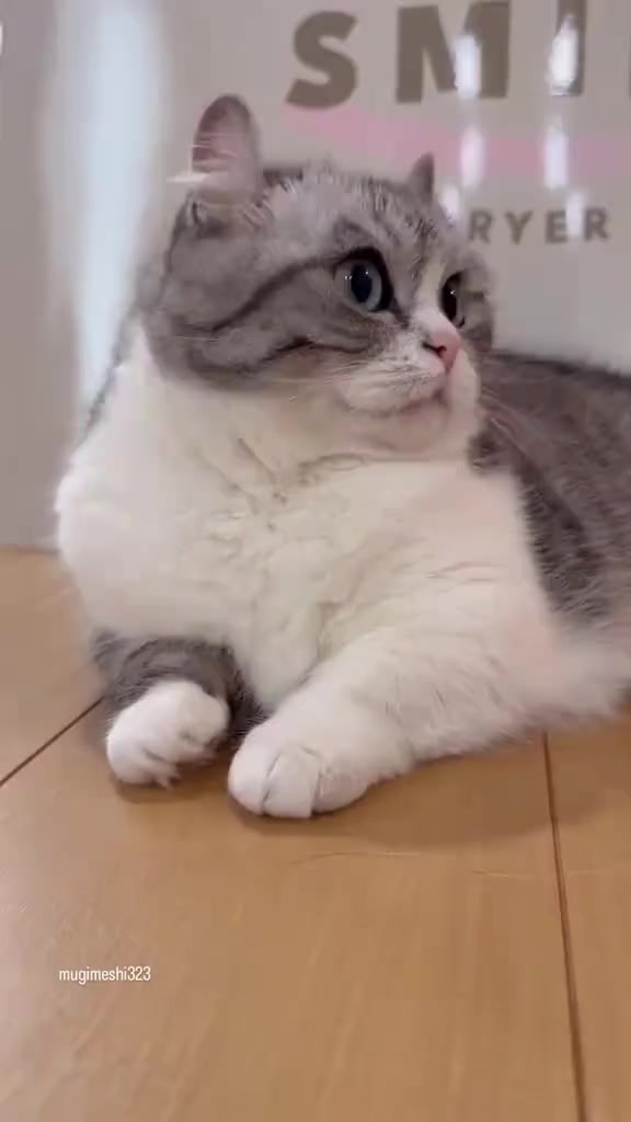 @KomaruSalt_AB