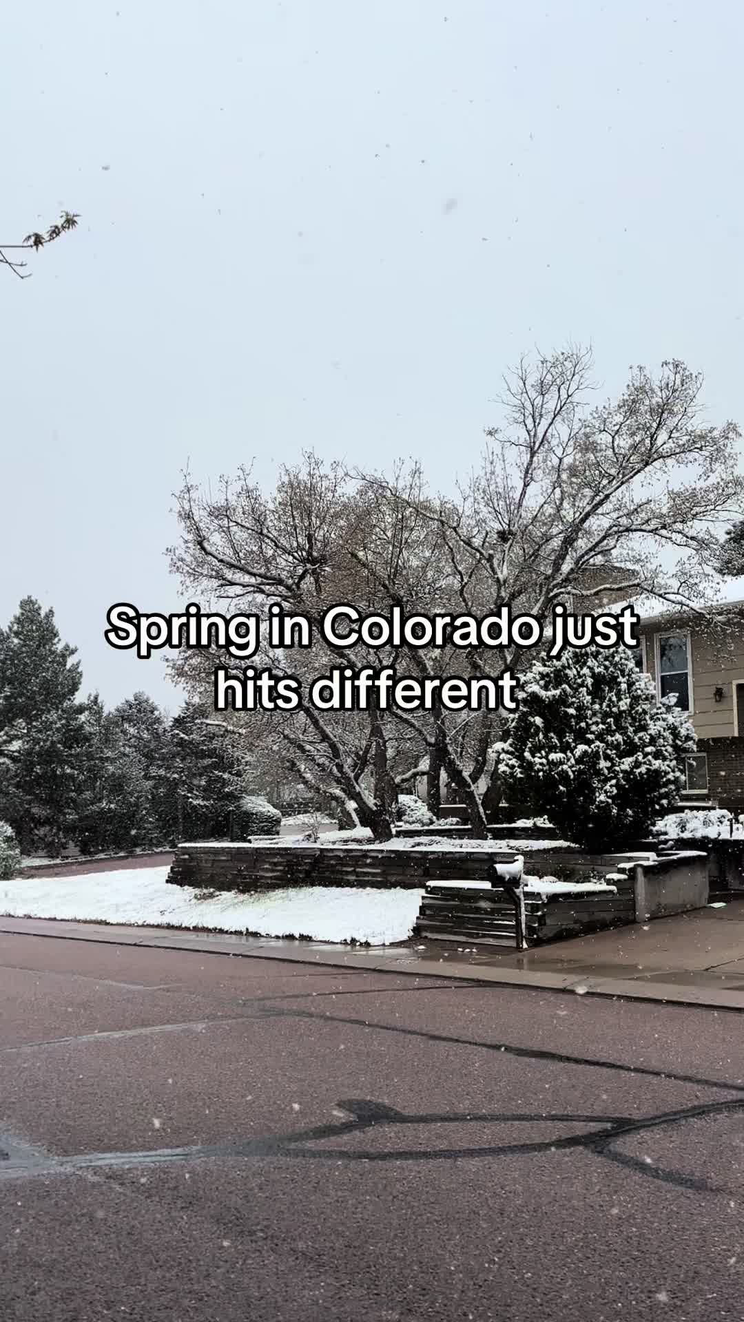 @Maryann Realtor & Mom