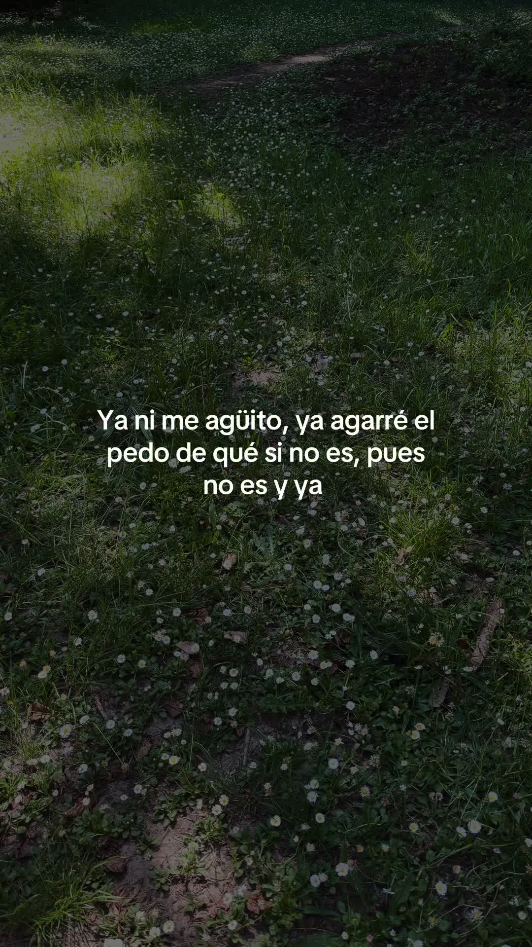@user123386698