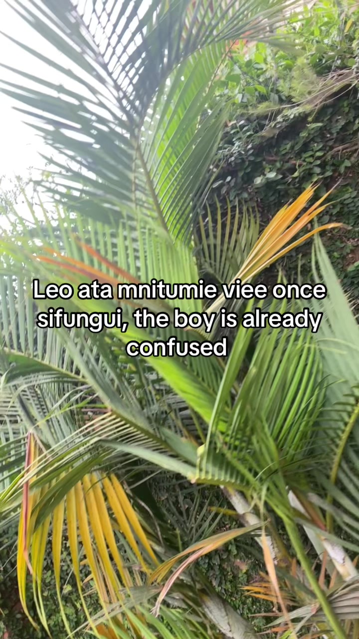 @ya_comrades