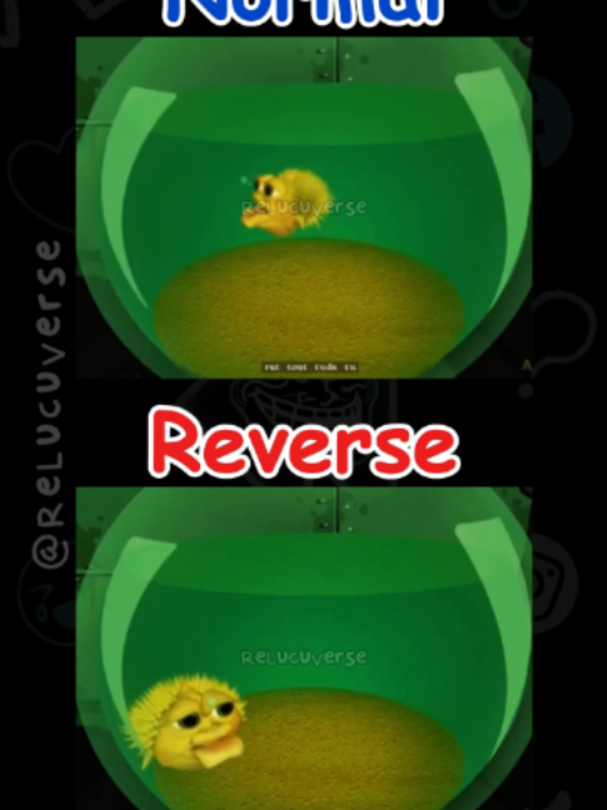 @ReLucuVerse