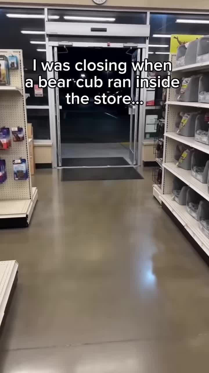 @StoriezTold 🐶