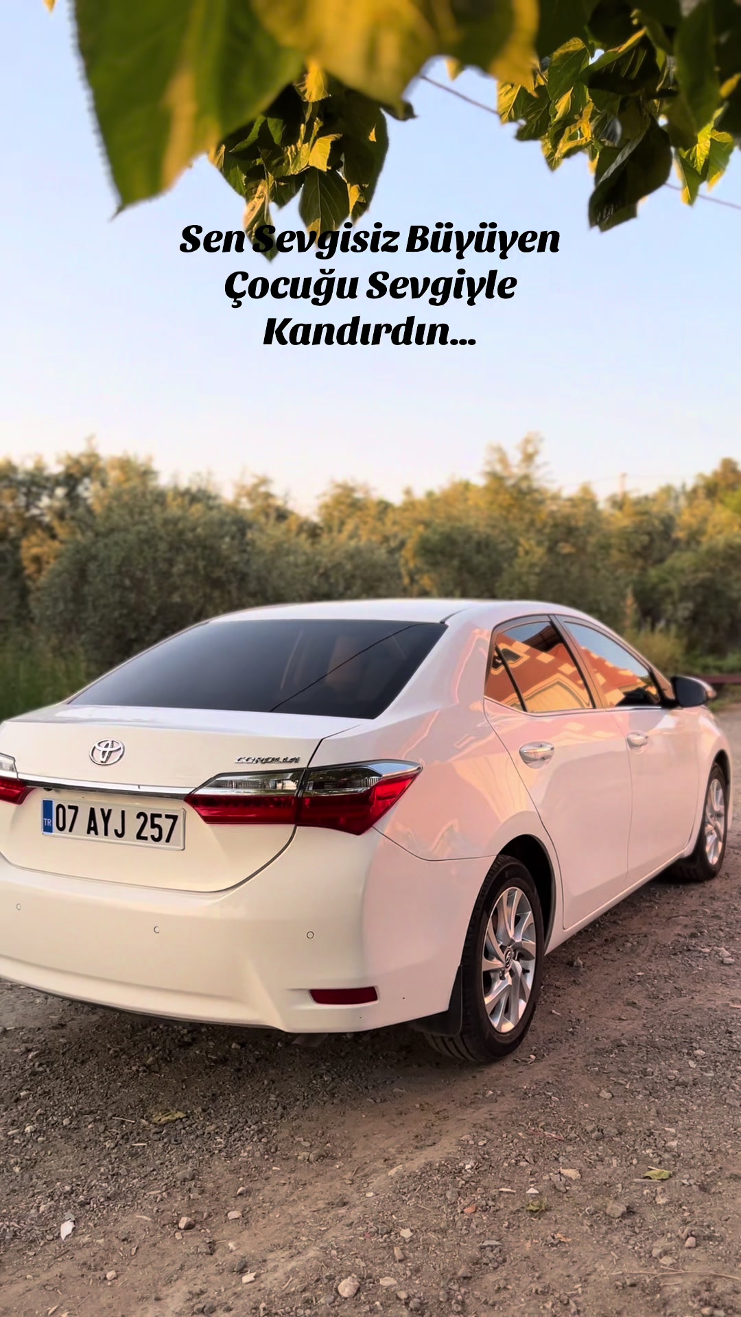 @Mehmet Okşak