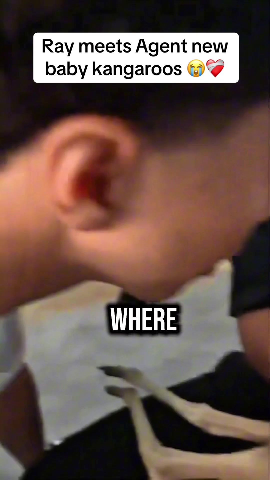 @ricesuiks